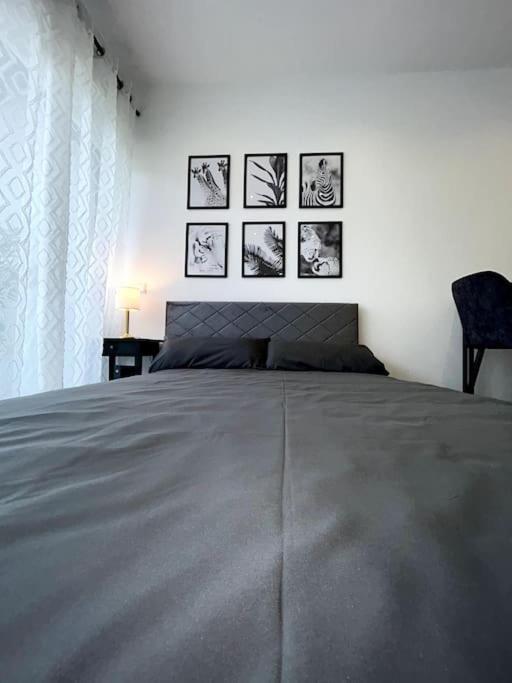 Bahnhofsapartment Loerrach Extérieur photo